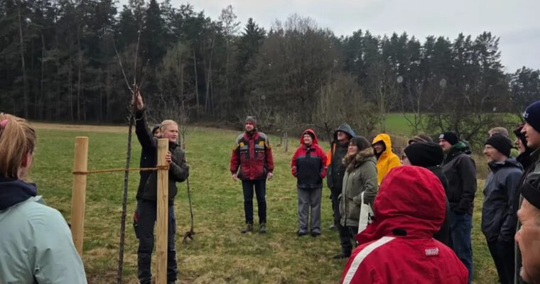 Großes Interesse am Obstbaumschnittkurs in Kohlberg