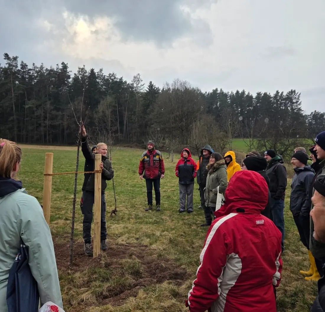 Großes Interesse am Obstbaumschnittkurs in Kohlberg